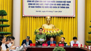 Law on Amendments and Supplements to Certain Articles of the Penal Code officially announced