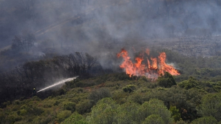 Nhiều nước châu Âu gồng mình đối phó với cháy rừng lan rộng