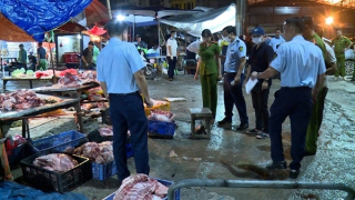 Lời khai kinh hoàng của đối tượng bán lợn bệnh khắp Hà Nội