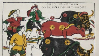 Nghé cơm trâu trắng trâu cò