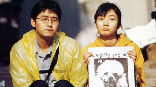 Phim hài đen của cha đẻ "Ký sinh trùng"