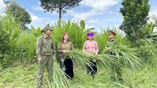 “Cánh tay nối dài” góp phần giữ bình yên bản làng