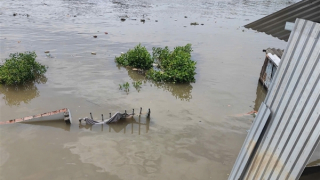 Sạt lở khiến 5 căn nhà ở Cà Mau trôi sông