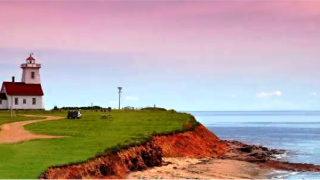 Phá vụ trọng án nhờ xét nghiệm ADN mèo