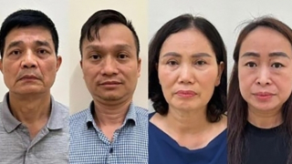 Khởi tố 18 bị can đưa và nhận hối lộ tại Cục An toàn thực phẩm, Bộ Y tế và các công ty liên quan