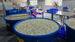 Giật mình với 13 tấn chân gà ngâm hoá chất tẩy trắng