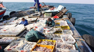 Dự kiến 14 loại thu nhập được miễn thuế