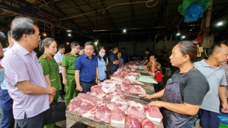 Khẩn trương giải tỏa chợ tạm Phùng Khoang sau vụ lợn chết, lợn bệnh