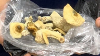 “Chữa lành” bằng… ảo giác?