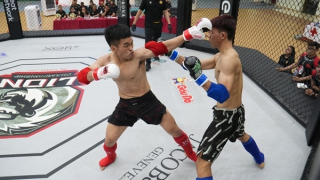 Khai mạc Giải Cúp các CLB Võ thuật tổng hợp toàn quốc 2025