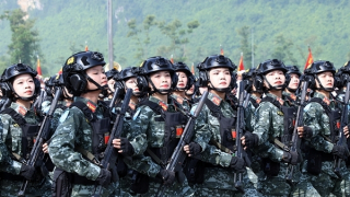 Ấn tượng với 43 khối đi tổng hợp luyện diễu binh, diễu hành