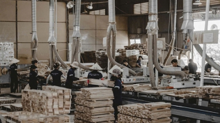 Cảnh báo sớm giúp hàng Việt ứng phó hiệu quả phòng vệ thương mại