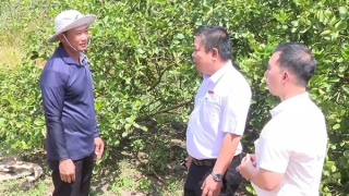 Agribank Bắc Long An, điểm tựa vững chắc cho kinh tế vùng biên