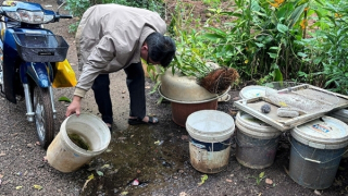 Đắk Lắk: Cô gái trẻ tử vong do sốt xuất huyết