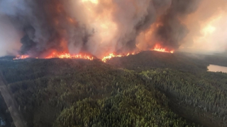 Nhiệt độ tăng cao tại châu Âu và hồi chuông cảnh tỉnh khí hậu toàn cầu
