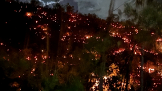 Gần 200 người tham gia khống chế vụ cháy khoảng 10ha rừng sản xuất tại Đà Nẵng