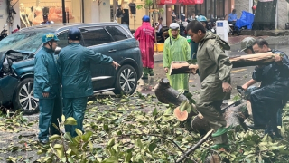 TP Hồ Chí Minh: Dông gió giật cấp 9, mưa nhiều nơi khiến hàng loạt cây xanh đổ ngã