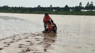 Anh trai lao xuống dòng nước khi thấy em gái nhảy cầu, Cảnh sát kịp thời cứu sống cả hai