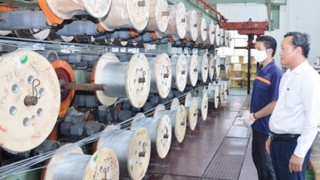 Những dấu ấn nổi bật của Đảng bộ Tập đoàn Công nghiệp Cao su Việt Nam