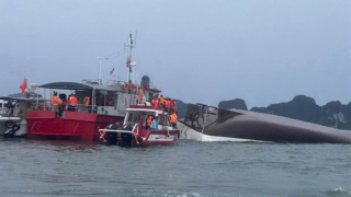 Bảo hiểm đền 30 triệu đồng/ nạn nhân thiệt mạng trong vụ đắm tàu trên vịnh Hạ Long