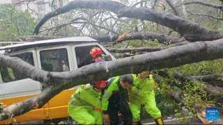 Cận cảnh sức tàn phá của bão Wipha khi đổ bộ Trung Quốc