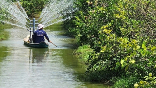 Vững bước lập nghiệp nơi vùng biên nhờ nguồn vốn từ Agribank
