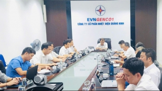 Công ty Cổ phần Nhiệt điện Quảng Ninh: Chủ động, tập trung ứng phó cơn bão số 3