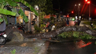 Dông lốc gây thiệt hại 26 căn nhà ở Đồng Tháp