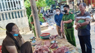 Công an vào cuộc vụ vứt heo chết xuống sông suối