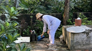 Sốt xuất huyết gia tăng, nâng cao phòng dịch từ mỗi gia đình