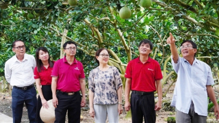 Dòng vốn Agribank tiếp sức cho kinh tế nông hộ phát triển bền vững