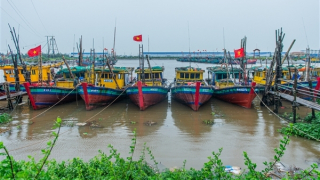 Bão số 3 đổ bộ, miền Bắc mưa rất to, gió mạnh