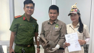 Phát hiện đường dây chuyên cung ứng động vật hoang dã cho nhà hàng