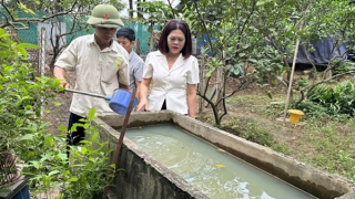 Sốt xuất huyết gia tăng, Bộ Y tế yêu cầu tăng cường phòng chống