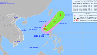 Áp thấp nhiệt đới đã mạnh lên thành bão số 4 có tên COMAY