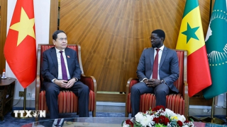 Đẩy nhanh đàm phán các hiệp định nền tảng Việt Nam-Senegal