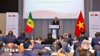 Việt Nam-Senegal thúc đẩy hợp tác thương mại và chế biến nông sản