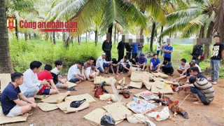 Triệt phá trường gà sát phạt hai trận trên 1,6 tỷ đồng