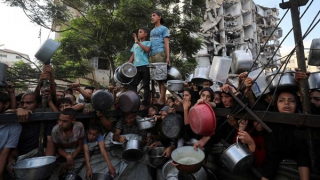 Thêm nhiều người Palestine chết đói tại Gaza giữa khủng hoảng nhân đạo nghiêm trọng