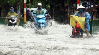 Mưa lớn khắp miền Bắc, Thanh Hóa đến Nghệ An