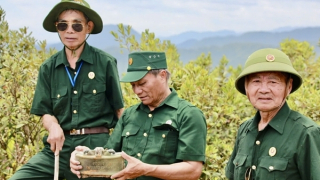 Tháng bảy, những bước chân đi tìm đồng đội