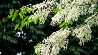 Giữa những tầng sâu bình yên