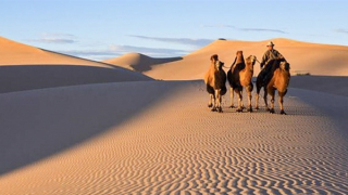 Đời cát - phận người!