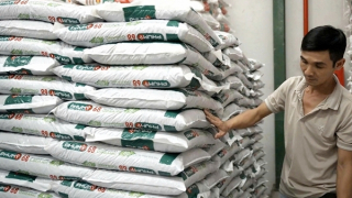 Ra mắt Hữu cơ Phú Mỹ Organic, hoàn thiện “Bộ ba vàng” dinh dưỡng cho nông nghiệp bền vững