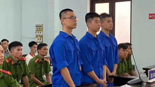 Rủ nhau vào bar “bay lắc”, 3 anh em ruột cùng lĩnh án tù