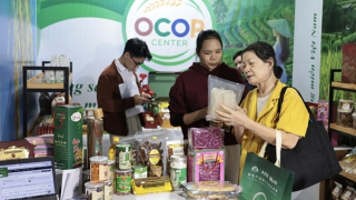 Vì sao hơn 80.000 gian hàng "bốc hơi" khỏi sàn thương mại điện tử?