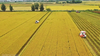 Canh tác gây tổn hại môi trường, nông sản Việt Nam sẽ "vấp" ở các thị trường lớn