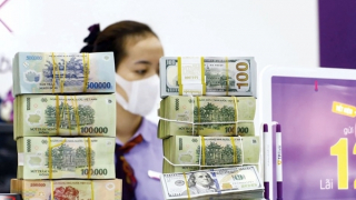 Bảo hiểm tiền gửi thu hơn 12.300 tỷ đồng phí, chi trả 4,94 tỷ đồng