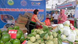 Đưa nông sản về phố qua livestream