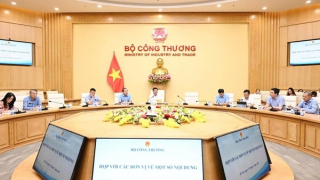 Bộ Công Thương cử 34 lãnh đạo cấp cục, vụ về địa phương công tác